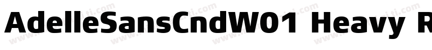 AdelleSansCndW01 Heavy Regular字体转换